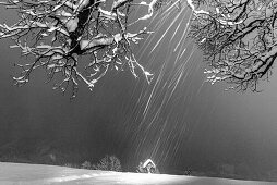 Germany, Bavaria, Alps, Oberallgaeu, Oberstdorf, Winter landscape at night, Winter holidays, Winter hiking trail, Snowfall, Row of trees during snowfall