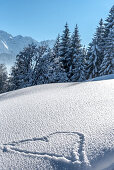 Germany, Bavaria, Alps, Oberallgäu, Oberstdorf, Winter Landscape, Winter Holidays, Heart in snow, Winter Hiking Trail, Coniferous Forest