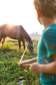 Junge, 6 Jahre, mit Pferd, Kinder spielen draußen, Naturverbundenheit, Tierliebe, am Strand von La Boca, Familienreise nach Kuba, Auszeit, Elternzeit, Urlaub, Abenteuer, MR, La Boca, Trinidad, Republik Kuba, karibische Insel, Karibik