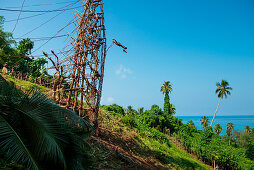 Original bungee jumping: A young man jumps from a wooden tower with only vines attached to his ankles, Pentecost Island, Torba, Vanuatu, South Pacific