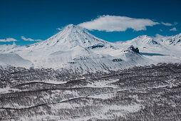 Aerial of Koryaksky volcano and trees in snow-covered landscape near Petropavlovsk taken through window of helicopter, near Petropavlovsk-Kamchatsky, Kamchatka, Russia, Asia