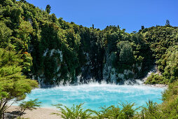 Blau leuchtender Kratersee, Inferno Lake, Waimangu Vulcanic Valley, Rotorua, Bay of Plenty, Nordinsel, Neuseeland