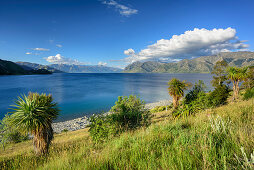 Lake Hawea, Mount Aspiring Nationalpark, UNESCO Welterbe Te Wahipounamu, Queenstown-Lake District, Otago, Südinsel, Neuseeland