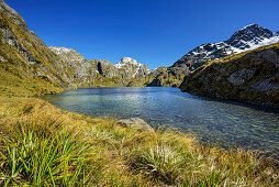 Lake Harris, Routeburn Track, Great Walks, Fiordland National Park, UNESCO Welterbe Te Wahipounamu, Queenstown-Lake District, Otago, South island, New Zealand