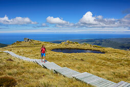 Frau wandert auf Holzsteg, Tasmanische See im Hintergrund, Hump Ridge, Hump Ridge Track, Fiordlands Nationalpark, UNESCO Welterbe Te Wahipounamu, Southland, Südinsel, Neuseeland