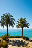 Aussichtsterasse mit Palmen, Rayol-Canadel-sur-Mer, Var, Côte d'Azur, Südfrankreich, Frankreich