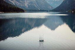 Landschaft am Plansee, Reutte, Tirol, Österreich, Europa.