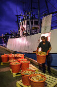 Lobster fisherman unloading in the fishing port of Grebbestad, Fjällbacka, Bohuslän, Sweden