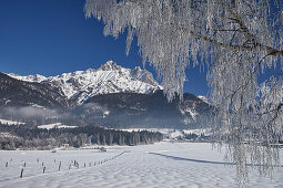 Verschneite Winterlandschaft bei Saalfelden am Steinernen Meer, Salzburg, Österreich