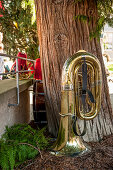 Tuba, Blechblasinstrument, Musikkapelle, Fronleichnam, Prozession, Blumenteppich, Sipplingen, Überlinger See, Bodensee, Baden-Württemberg, Deutschland, Europa