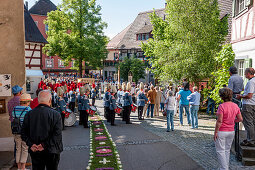 Traditional band, Corpus Christi, Feast of Corpus Christi procession, carpet of flowers, Sipplingen, Lake Constance, Baden-Wuerttemberg, Germany, Europe