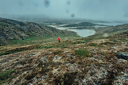 Hiker on a route through greenland, greenland, arctic.