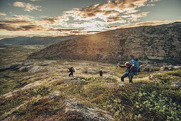 Hiker on a route through greenland, greenland, arctic.