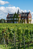 Château Lascombes, Weinbau, Medoc, Weingut,  Bordeaux, Gironde, Aquitanien , Frankreich, Europa