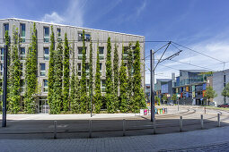 Green Hotel Vauban, Solarsiedlung,  Freiburg, Baden-Wuerttemberg, Schwarzwald, black forest, Germany