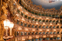 La Fenice opera theater, Ceiling, Venedig, Venezia, Venice, Italia, Europe