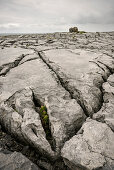Karstlandschaft The Burren, Grafschaft Clare, Irland, Europa