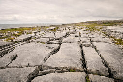 Karstlandschaft The Burren, Grafschaft Clare, Irland, Europa