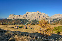 Almwiesen mit Heustadel und Fanes-Sennes-Gruppe, Pralongia, Dolomiten, UNESCO Welterbe Dolomiten, Venetien, Italien