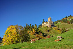 Castel in Sarnthein, valley of Sarntal, Sarntal Alps, South Tyrol, Italy