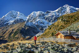 Woman hiking with alpine hut with Koenigsspitze, Zebru and Ortler in background, Sulden, Ortler group, South Tyrol, Italy