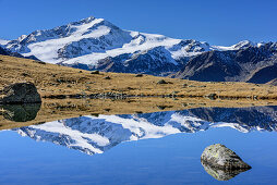 Cevedale reflecting in mountain lake, valley of Martelltal, Ortler group, South Tyrol, Italy
