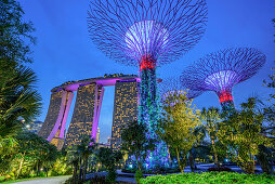 Illuminated Marina Bay Sands and SuperTrees in Garden of the Bay, Marina Bay, Singapore