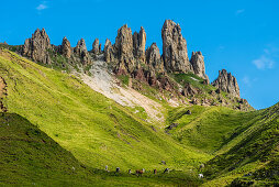 A meadow of the Alpe di Siusi with cows and the mountain range Rosszahne, Siusi, South Tyrol, Alto Adige, Italy