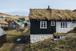 Traditionelle Häuser mit Reetdächern, Mykines , Färöer Inseln, Dänemark