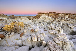 Weiße Felstürme aus Sandstein in der Dämmerung, Bisti Badlands, De-Nah-Zin Wilderness Area, New Mexico, USA