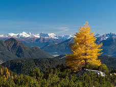 Blick von den Südhängen des Wettersteingebirges auf die Zillertaler Alpen, Gefrorene Wand und Olperer, Herbst, Tirol, Österreich, Europa