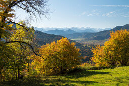 view from the southern slope of the Sonntratn mountain into Isar Valley, to Brauneck and Karwendel mountains, Alps, Upper Bavaria, Germany, Europe