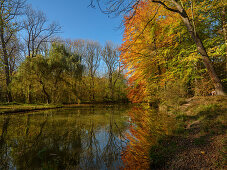 Autumn mood at a small lake in the Englischer Garten, Munich, Upper Bavaria, Germany