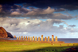 EASTER ISLAND, CHILE, Isla de Pascua, Rapa Nui, horses graze in front of the Moai statues at the Ahu Tongariki site at the base of Poike Volcano