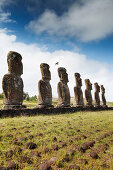 EASTER ISLAND, CHILE, Isla de Pascua, Rapa Nui, the Ahu Akivi is a sacred place in Rapa Nui that looks out toward the Pacific Ocean, the site has seven Moai which are all of equal size and shape