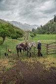 USA, Oregon, Joseph, Cowboy Todd Nash rides though the canyon towards his  truck after moving cattle up Big Sheep Creek in the rain, Northeast Oregon