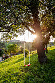 swing, farm, Austria, Europe