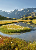  Wilder Freiger, Mother Lake Zuckerhütl, Stubai Alps, Tyrol, Austria