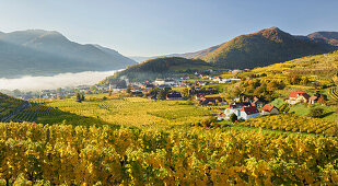 pointed by the Red Gate, Red Mauerl, Wachau, Lower Austria, Austria