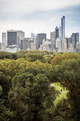 Blick vom Dach des Metropolitan Museum of Art auf den umliegenden Central Park, 5th Avenue, Manhattan, New York City, Vereinigte Staaten von Amerika, USA, Nordamerika