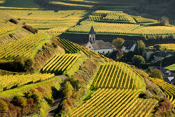 Village in the vineyards in autumn, Altvogtsburg, Oberbergen, Kaiserstuhl, Baden-Württemberg, Germany