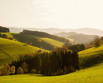 View of hilly landscape,  near St Märgen, Black Forest, Baden-Württemberg, Germany