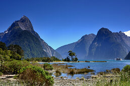 am Milford Sound, Südinsel, Neuseeland