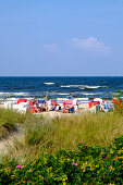 Beach with dune vegetation and beach chairs, Bansin, Usedom, Ostseeküste, Mecklenburg-Western Pomerania Germany