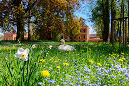 Blumenwiese mit Schwan vor der Schloss Bothmer, Ort Klütz, Ostseeküste, Mecklenburg-Vorpommern,  Deutschland