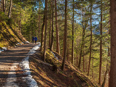 Two hikers on the Lakeside Path at the Eibsee on a sunny winter day, Eibsee, Upper Bavaria, Germany