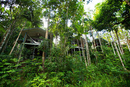 Die River Treehouse liegen direkt am Mossman River, Silky Oaks Lodge, Queensland, Australien