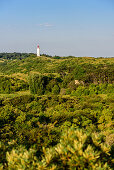 Blick vom Schluckwiek auf Leuchtturm Dornbusch, Hiddensee, Rügen, Ostseeküste, Mecklenburg-Vorpommern, Deutschland