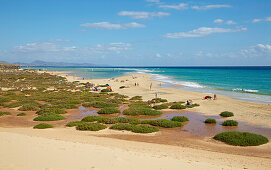 Strand Playa de Sotavento de Jandia bei Costa Calma, Fuerteventura, Kanaren, Kanarische Inseln, Islas Canarias, Atlantik, Spanien, Europa