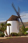 Mühle im Museo del Queso Majorero und Molino de Antigua, Antigua, Fuerteventura, Kanaren, Kanarische Inseln, Islas Canarias, Atlantik, Spanien, Europa